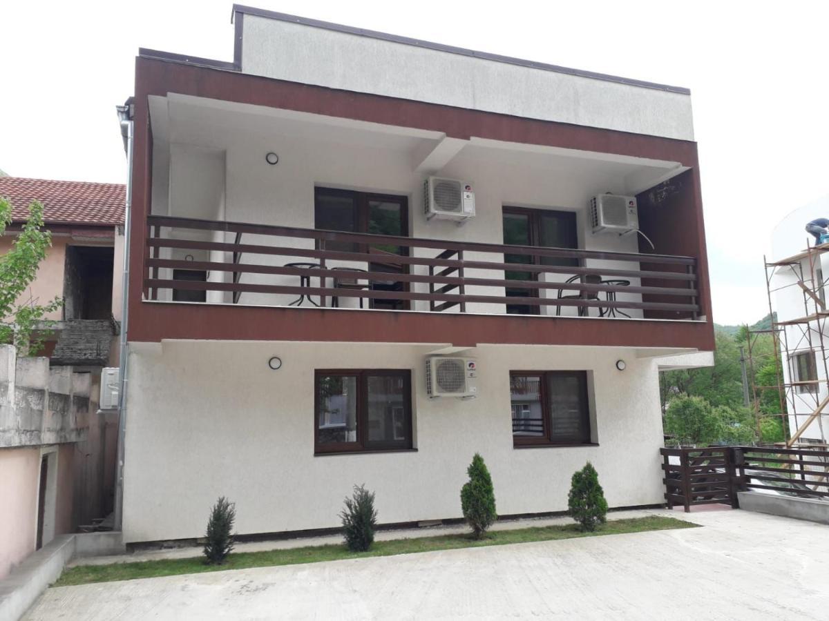 Vila Ovidiu Băile Herculane Exterior photo